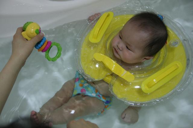 Fish Swimming Toys